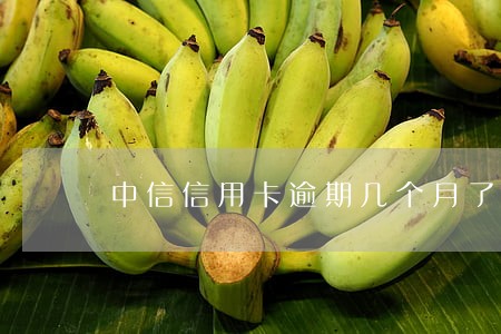 中信信用卡逾期几个月了 中信信用卡逾期几个月了