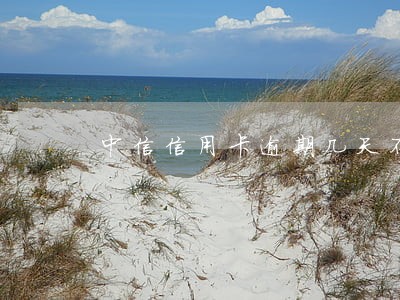 中信信用卡逾期几天不上征信 中信信用卡逾期几天不上征信