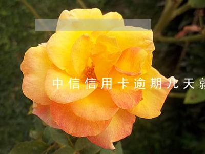 中信信用卡逾期几天就上征信啦 中信信用卡逾期几天就上征信啦