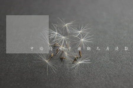 中信信用卡逾期几月还款 中信信用卡逾期几月还款