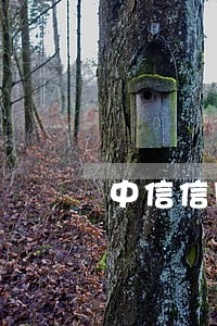 中信信用卡逾期几期 中信信用卡逾期几期