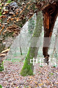 中信信用卡逾期十六天