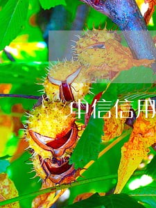 中信信用卡逾期十几天会上门吗 中信信用卡逾期十几天会上门吗