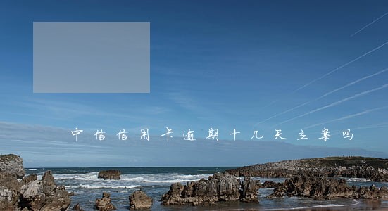 中信信用卡逾期十几天立案吗