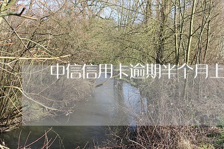 中信信用卡逾期半个月上门 中信信用卡逾期半个月上门