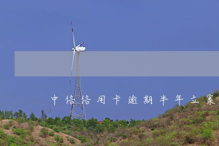 中信信用卡逾期半年立案 中信信用卡逾期半年立案