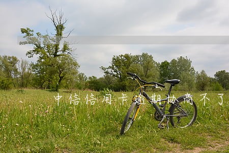 中信信用卡逾期协商不了 中信信用卡逾期协商不了