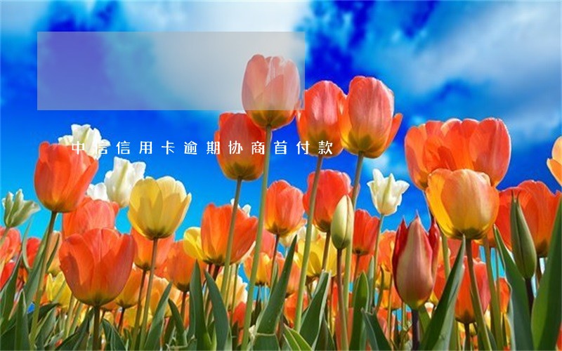 中信信用卡逾期协商首付款 中信信用卡逾期协商首付款