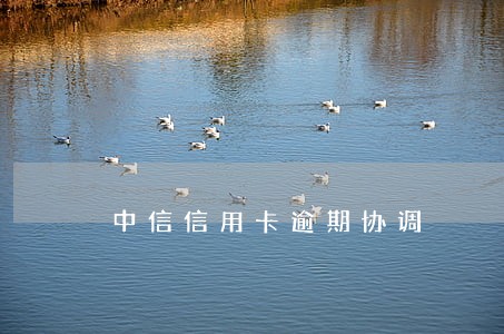 中信信用卡逾期协调 中信信用卡逾期协调