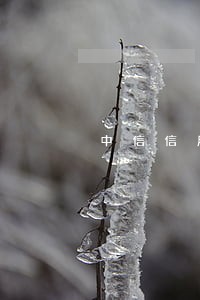 中信信用卡逾期去分行柜台