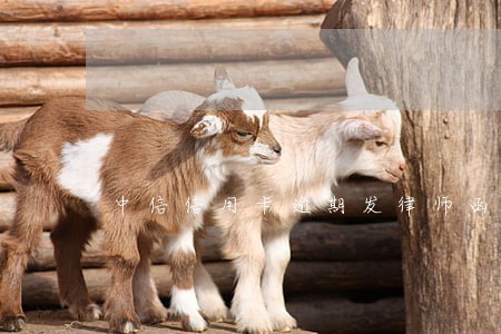 中信信用卡逾期发律师函6 中信信用卡逾期发律师函6
