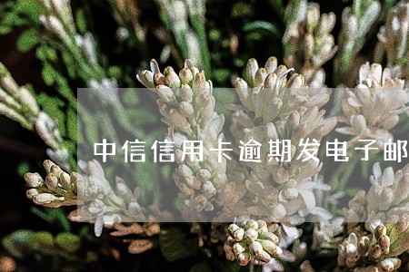 中信信用卡逾期发电子邮件 中信信用卡逾期发电子邮件