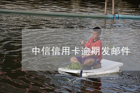 中信信用卡逾期发邮件 中信信用卡逾期发邮件