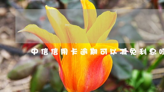 中信信用卡逾期可以减免利息吗 中信信用卡逾期可以减免利息吗