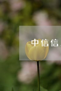 中信信用卡逾期可以分多少期 中信信用卡逾期可以分多少期