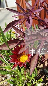 中信信用卡逾期后不能用了 中信信用卡逾期后不能用了