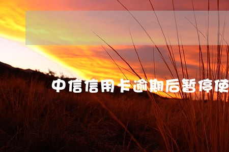 中信信用卡逾期后暂停使用