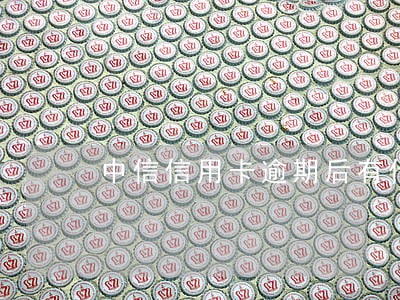 中信信用卡逾期后有什么后果 中信信用卡逾期后有什么后果