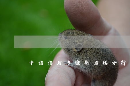 中信信用卡逾期后转分行处理 中信信用卡逾期后转分行处理
