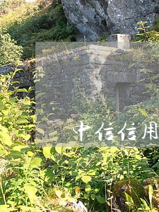中信信用卡逾期后还款后果 中信信用卡逾期后还款后果
