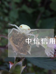 中信信用卡逾期员 中信信用卡逾期员