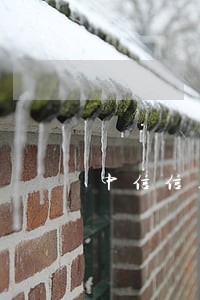 中信信用卡逾期四万多