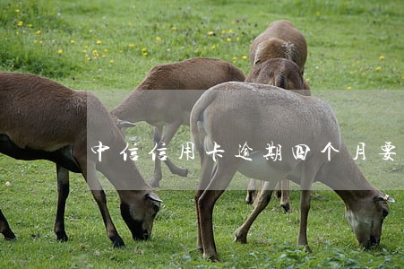 中信信用卡逾期四个月要上门清收 中信信用卡逾期四个月要上门清收
