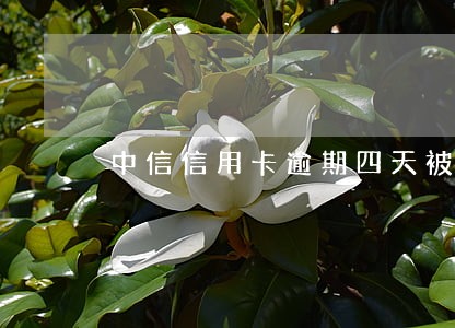 中信信用卡逾期四天被冻结 中信信用卡逾期四天被冻结