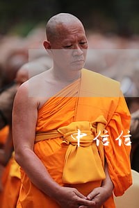 中信信用卡逾期多久不收利息