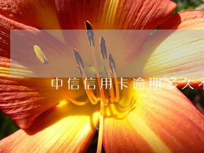 中信信用卡逾期多久不能还最低 中信信用卡逾期多久不能还最低
