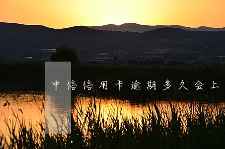 中信信用卡逾期多久会上信用的