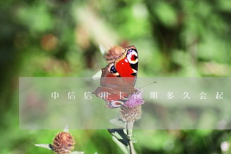 中信信用卡逾期多久会起诉 中信信用卡逾期多久会起诉