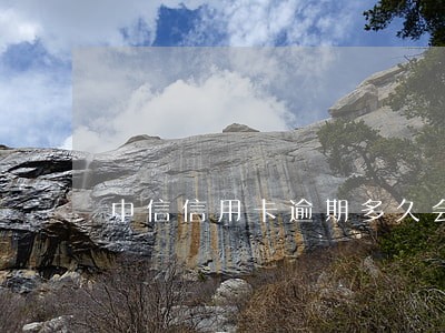 中信信用卡逾期多久会限制