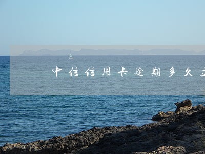中信信用卡逾期多久立案 中信信用卡逾期多久立案