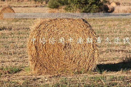 中信信用卡逾期多久还钱就扣本金