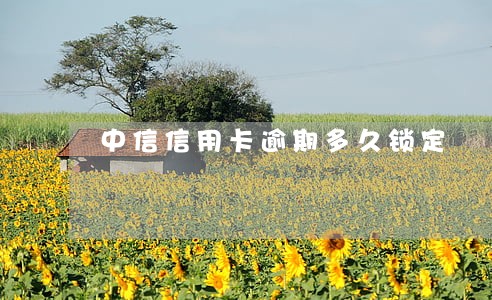中信信用卡逾期多久锁定