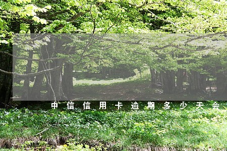 中信信用卡逾期多少天会上征信 中信信用卡逾期多少天会上征信
