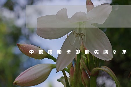 中信信用卡逾期失联2年了会怎样 中信信用卡逾期失联2年了会怎样
