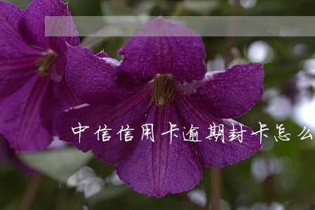 中信信用卡逾期封卡怎么解 中信信用卡逾期封卡怎么解