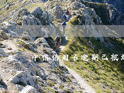 中信信用卡逾期已被起诉