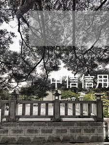 中信信用卡逾期怎么上岸 中信信用卡逾期怎么上岸