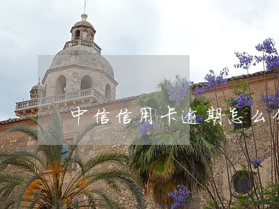 中信信用卡逾期怎么分期