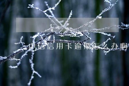 中信信用卡逾期怎么办啊 中信信用卡逾期怎么办啊