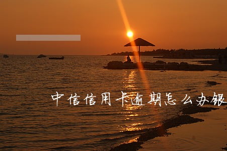 中信信用卡逾期怎么办银行流水 中信信用卡逾期怎么办银行流水