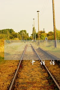 中信信用卡逾期怎么查询 中信信用卡逾期怎么查询