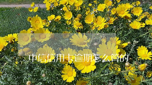 中信信用卡逾期怎么算的 中信信用卡逾期怎么算的