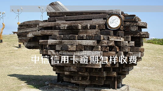 中信信用卡逾期怎样收费 中信信用卡逾期怎样收费