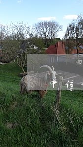 中信信用卡逾期想打电话申请分期