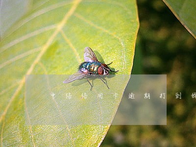 中信信用卡逾期打到我同事 中信信用卡逾期打到我同事