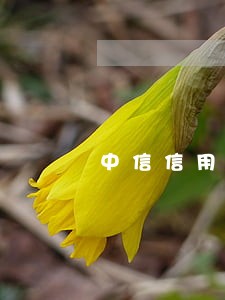 中信信用卡逾期找到单位